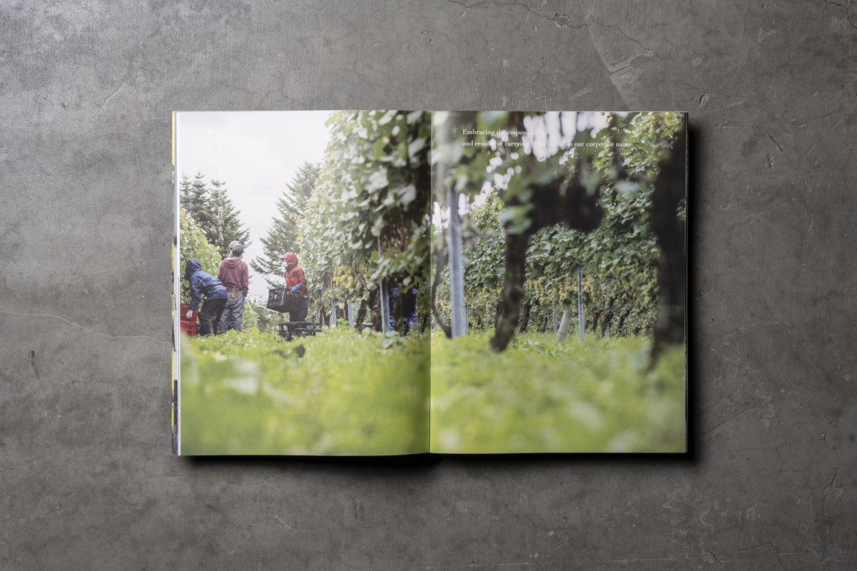 The Soul of Viniculture / HOKKAIDO WINE｜WORK｜GAZE fotographica